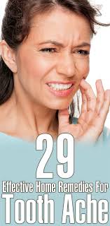 Yvette Burrows (burrows4799)