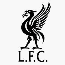 We did not find results for: Unofficial Liverpool Fc Clothes Home Facebook