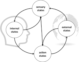 It shows the large numbers of workers and tasks required to refine sugar. Modelling Ourselves What The Free Energy Principle Reveals About Our Implicit Notions Of Representation Springerlink