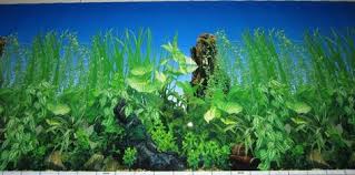 Fish Tank Background Printable Aquarium Backgrounds To Print Free Printable Background Aquarium Backgrounds Background Fish Tank