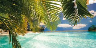 Check spelling or type a new query. Tropical Islands Linkedin