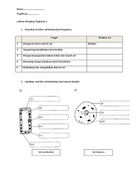 Home nota tingkatan 2 nota padat sains tingkatan 2 kssm. Latihan Sains Tingkatan 3 Bab 1 Sains Tingkatan 3 Latihan Dan Jawapan Yuralah Kredit Buat Blog Sains Ting 1 Bab 3 Thomaskur