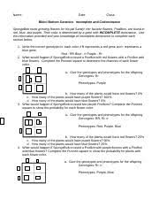 Maybe you would like to learn more about one of these? Bikini Bottom Incomplete And Codominance 1 Name Date Class Bikini Bottom Genetics Incomplete And Codominance Spongebob Loves Growing Flowers For Course Hero