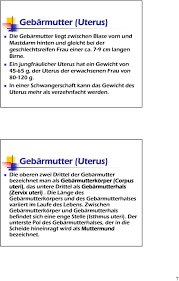 25 seiten zum thema geschlechterrollen. Aufbau Und Funktion Der Weiblichen Geschlechtsorgane Pdf Free Download