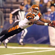 Chad johnson was born on january 9, 1978 in miami, florida, usa as chad javon johnson. Bengals Ring Of Honor Candidates Chad Johnson Cincy Jungle