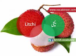 Fruits Vocabulary With Urdu Hindi Pictures Vocabulary In Urdu Fruits Names With Pictures Fruits Voc Fruits Name With Picture English Vocabulary Vocabulary