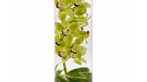 Daugiau informacijos apie įmonę flowers for all occasions rasite adresu www.flowersforalloccasionslugoff.com. Camden Sc Florist Camden South Carolina Flower Delivery