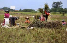Pokok doa syafaat minggu, 25 april 2021. Doa Ketika Bercocok Tanam Bincang Syariah