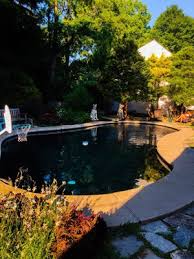 Check out results for pool supplies danbury ct Leslie S 72 Newtown Rd Danbury Ct Swimming Pool Equipment Supplies Mapquest