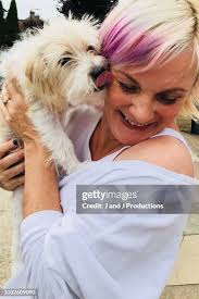 9,806 J Dog Stock Photos, High-Res Pictures, and Images