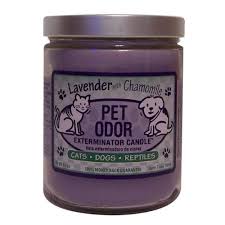 I personally like the lavender and chamomile scent the best. Pet Odor Exterminator Candle Lavender With Chamomile 13 Oz You Can Get Additional Details At The Image L Dog Food Online Can Dogs Eat Blueberries Pet Odors