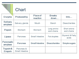 Disclosed Carbohydrates Lipids Proteins Nucleic Acids Chart