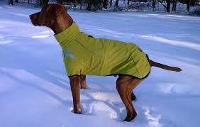 hurtta frost dog jacket winter coat waterproof