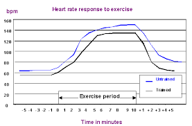 All About Cardio Precision Nutrition