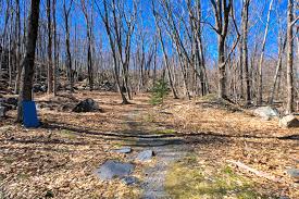The gas tanks and lighthouse