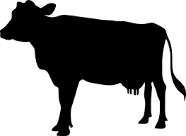 Free Image On Pixabay Cow Icon Cow Bos Taurus Farm In 2020 Cow Icon Black Cow Sillouette Art