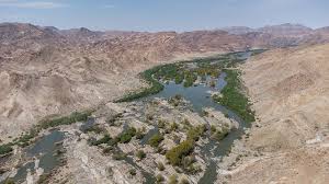 Image result for Limosella maior