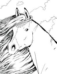 Funny horse coloring page : Horse Coloring Pages For Adults Best Coloring Pages For Kids