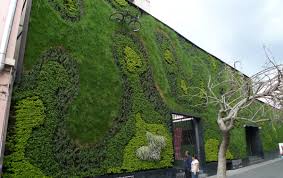 Website visit the phoenix garden website. Green Walls How To Create A Living Landscape Or Wallscape Lawnstarter