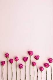 Pin Oleh Elizangela G Di Wallpapers Mawar Cantik Mawar Pink Bunga Ungu I found it on pinterest and all credit goes to the original owner*. mawar pink