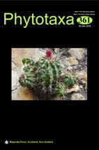 Image result for Stenostelma capense