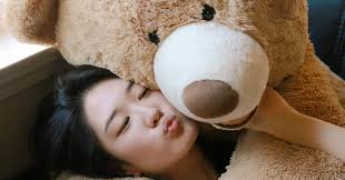 Valentine's Day 2022: Teddy Bear Colour Explained