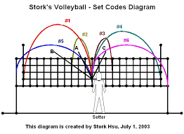 5 1 System Storks Volleyball