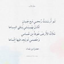 شعر عنترة بن شداد و لو أرسلت رمحي مع جبان عالم الأدب wisdom quotes life wisdom quotes wise quotes