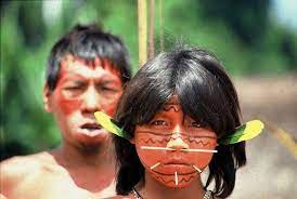 11000年間孤立していたアマゾンの原住民 ヤノマミ族に抗生物質耐性を持つ遺伝子が多数発見される 米研究 ベネズエラに広がるアマゾンの熱帯雨林の奥深くで暮らす南米の先住民 ヤノマミ族の人々を検査したところ 体内の細菌叢から驚きの発見がなされた ヤノマミ族