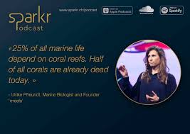 Sustainability Insights From A Researcher And Social Entrepreneur