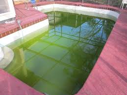 Pin By Josefina Semilla On Untitled Green Pool Green Pool Water Swimming Pools