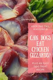 Can Dogs Eat Chicken Gizzards Keep The Tail Wagging