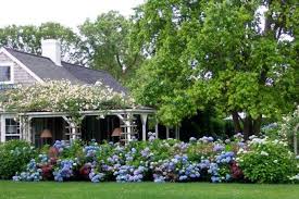 Landscaping With Hydrangeas 15 Garden Design Ideas Cottage Garden Hydrangea Garden Beautiful Gardens