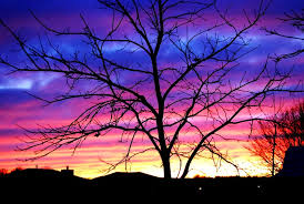 Discover now our large variety of topics and our best pictures. Free Wallpapers For Computer Poto Butut