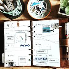 Gefallt 181 Mal 4 Kommentare Janina Planer Liebe Auf Instagram Diese Woche Ist Es Recht Ruhig Wir Machen Uns Auch K Instagram Posts Instagram Notebook