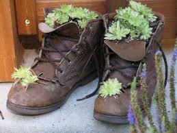 Idee De Jardin De Pots De Plantes Succulentes De Bottines Pour Homme Elimees Idees Jardin Jardins Pot De Fleurs