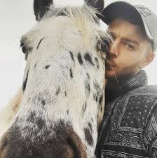 Can anyone recommend a good boarding kennel for my dog tia