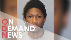 Teenage Murderer Sentenced for Fatally Stabbing 14-Year-Old