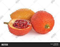 Download spiky fruit stock photos. Gac Fruit Baby Image Photo Free Trial Bigstock