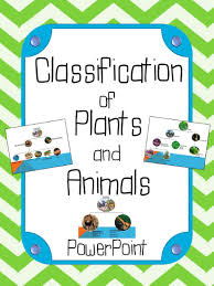Flowers ppt by aditya sharma by jyotsna narang 36005 views. Classification Of Plants And Animals Powerpoint Presentation Aligned With The 5th Science Lessons Elementary 5th Grade Science Projects Fourth Grade Science