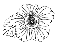 Each printable highlights a word that starts. Coloring Pages Hibiscus Flower Coloring Pages For Kids
