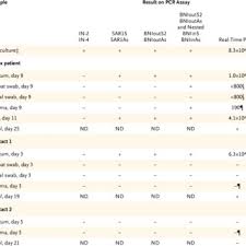 Pdf Identification Of A Novel Coronavirus In Patients With Severe Acute Respiratory Syndrome