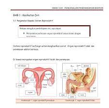 Sistem reproduktif lelaki perempuan 6 unit 2 modul 1: Soalan Pendidikan Kesihatan Tahun 5 Terengganu S