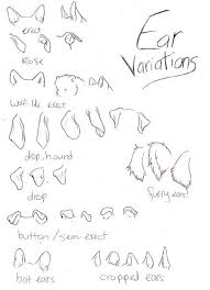 Dog Ears Canine Drawing Animal Drawings Furry Drawing