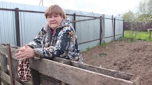 во саду ли в огороде юлия миняева посадка чеснока Etu Tajnu Mne Otkryla Staraya Koreyanka Ogorod Po Metodu Koreyanki 18 05 20 Youtube