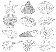 Malvorlagen muscheln wir haben 17 bilder über malvorlagen muscheln einschließlich bilder, fotos vergessen sie nicht, lesezeichen zu setzen malvorlagen muscheln mit ctrl + d (pc) oder. Ausmalbilder Muscheln Malvorlagen Fur Kinder Zum Ausdrucken