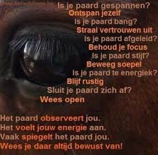 Horsemanship Rechtrichten En Bitloos Paardrijden Paarden Trainen Via Het Horsefulness Trainingssysteem Paarden Paardencitaten Mooie Paarden