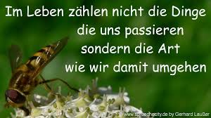 Man kann sie an einen schüler schicken, der eine. Kurze Liebeskummer Spruche Zum Nachdenken Traurige Zitate Zum Herzschmerz