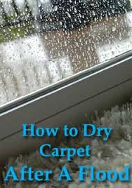 The park doesn't flood, and there's lots of sun. How To Dry Your Carpet After A Storm Water Flood Carter S Carpet