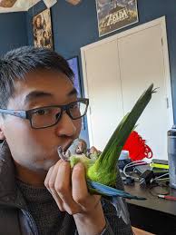 This is the loudest bong in the world.